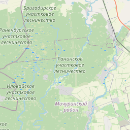 Где находится Мичуринск на карте России показать